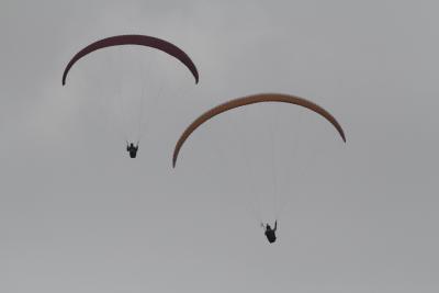 French paraglider killed in mishap in Himachal Pradesh | French paraglider killed in mishap in Himachal Pradesh