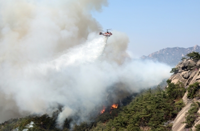 Seoul wildfire completely extinguished after 25 hours | Seoul wildfire completely extinguished after 25 hours