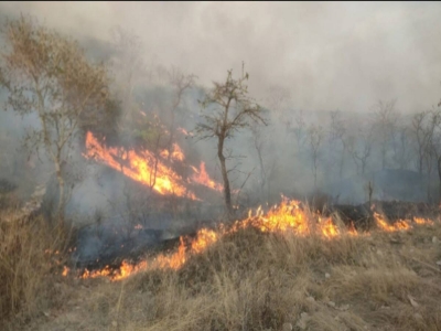 SC summons Uttarakhand Chief Secretary on May 17 over forest fires | SC summons Uttarakhand Chief Secretary on May 17 over forest fires