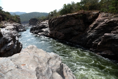 Mekedatu dam issue unites TN political parties against Cauvery authority | Mekedatu dam issue unites TN political parties against Cauvery authority