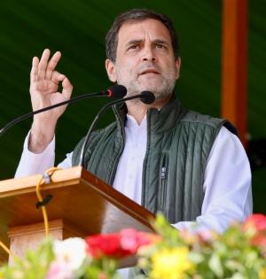 Govt must give details of evacuation plan: Rahul | Govt must give details of evacuation plan: Rahul Govt must give details of evacuation plan: Rahul | Govt must give details of evacuation plan: Rahul