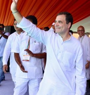 Rahul has avoided poll campaigns for fear of losing, says BJP | Rahul has avoided poll campaigns for fear of losing, says BJP Rahul has avoided poll campaigns for fear of losing, says BJP | Rahul has avoided poll campaigns for fear of losing, says BJP