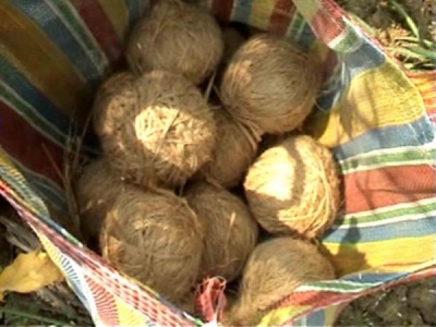 Crude bombs recovered, later defused in Bengal's Bogtui village | Crude bombs recovered, later defused in Bengal's Bogtui village