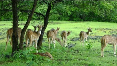 5 villages want to be excluded from Hastinapur sanctuary | 5 villages want to be excluded from Hastinapur sanctuary
