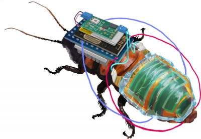 Cyborg cockroaches to soon help inspect hazardous areas near you | Cyborg cockroaches to soon help inspect hazardous areas near you