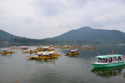 Diving into still waters: The remarkable life on the Dal Lake | Diving into still waters: The remarkable life on the Dal Lake