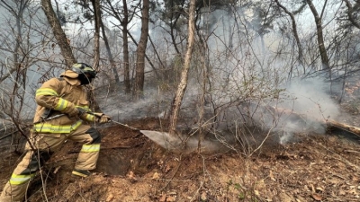 Wildfire burns 521 hectares of woodland near inter-Korean border | Wildfire burns 521 hectares of woodland near inter-Korean border