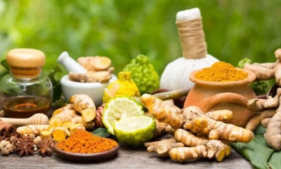 Centre designates September 23 as new National Ayurveda Day | Centre designates September 23 as new National Ayurveda Day Centre designates September 23 as new National Ayurveda Day | Centre designates September 23 as new National Ayurveda Day