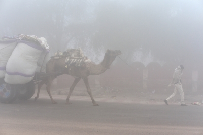 Rajasthan feels winter chill; 10 dists shiver below 10 degrees | Rajasthan feels winter chill; 10 dists shiver below 10 degrees Rajasthan feels winter chill; 10 dists shiver below 10 degrees | Rajasthan feels winter chill; 10 dists shiver below 10 degrees