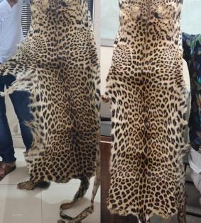 K'taka police arrest rowdy sheeter trading leopard skin | K'taka police arrest rowdy sheeter trading leopard skin