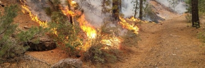 Extreme wildfire in California prompts multiple mandatory evacuations | Extreme wildfire in California prompts multiple mandatory evacuations