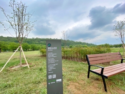 'BTS Forest' created in Seoul's Nanji park | 'BTS Forest' created in Seoul's Nanji park
