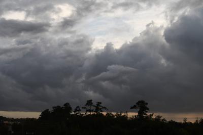 Powerful Hurricane Ida slams Louisiana, other regions | Powerful Hurricane Ida slams Louisiana, other regions