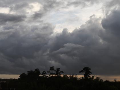 Hurricane Hilary may dump year's worth of rain on US Southwest | Hurricane Hilary may dump year's worth of rain on US Southwest