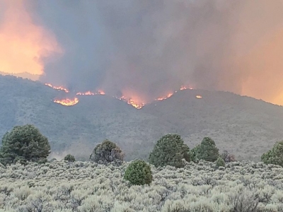 California wildfire burns over 244,000 acres | California wildfire burns over 244,000 acres
