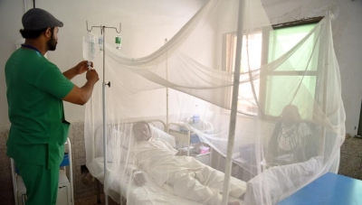 Dengue cases continue to spike in Pakistan | Dengue cases continue to spike in Pakistan