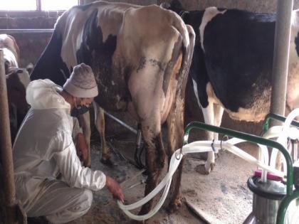 Government-sponsored schemes spur dairy business in J-K's Bandipora | Government-sponsored schemes spur dairy business in J-K's Bandipora