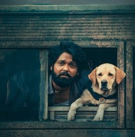 National Awards: '777 Charlie' wins Best Kannada Film | National Awards: '777 Charlie' wins Best Kannada Film National Awards: '777 Charlie' wins Best Kannada Film | National Awards: '777 Charlie' wins Best Kannada Film