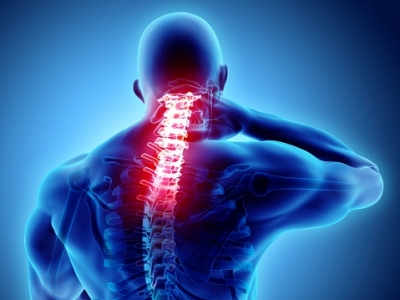 Stem Cell therapy safe after a spinal cord injury: Study | Stem Cell therapy safe after a spinal cord injury: Study