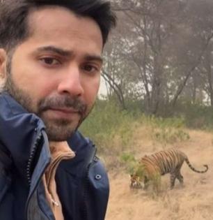 'Bhediya' Varun Dhawan meets tiger in Jaipur | 'Bhediya' Varun Dhawan meets tiger in Jaipur