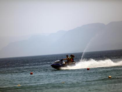 Epidemic kills all black sea urchins in Gulf of Aqaba: Israeli researchers | Epidemic kills all black sea urchins in Gulf of Aqaba: Israeli researchers Epidemic kills all black sea urchins in Gulf of Aqaba: Israeli researchers | Epidemic kills all black sea urchins in Gulf of Aqaba: Israeli researchers