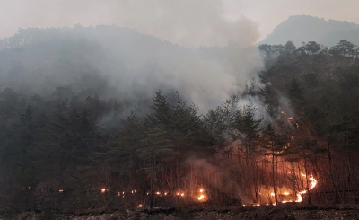 Couple dies fleeing wildfire in Portugal | Couple dies fleeing wildfire in Portugal