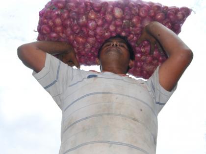 Steady rise in onion prices triggers concern in K’taka | Steady rise in onion prices triggers concern in K’taka Steady rise in onion prices triggers concern in K’taka | Steady rise in onion prices triggers concern in K’taka