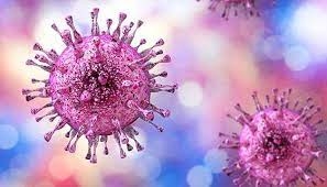 Chinese scientists find 8 new viruses from rodents, sparking pandemic risk | Chinese scientists find 8 new viruses from rodents, sparking pandemic risk Chinese scientists find 8 new viruses from rodents, sparking pandemic risk | Chinese scientists find 8 new viruses from rodents, sparking pandemic risk