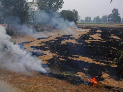 UP to distribute bio-decomposers to check stubble burning | UP to distribute bio-decomposers to check stubble burning UP to distribute bio-decomposers to check stubble burning | UP to distribute bio-decomposers to check stubble burning