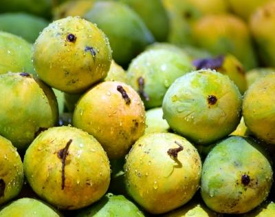 Famed Dharmapuri mangoes in TN to cost more as pests destroy crops | Famed Dharmapuri mangoes in TN to cost more as pests destroy crops