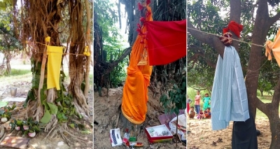A mix of tradition, conservation makes tree weddings in UP villages unique | A mix of tradition, conservation makes tree weddings in UP villages unique A mix of tradition, conservation makes tree weddings in UP villages unique | A mix of tradition, conservation makes tree weddings in UP villages unique