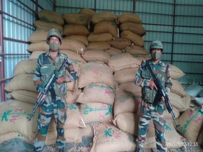 Assam Rifles recovers areca nuts of over Rs 46,79,000 in Mizoram's Champhai | Assam Rifles recovers areca nuts of over Rs 46,79,000 in Mizoram's Champhai