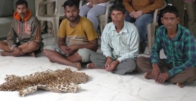 4 arrested for selling leopard skin from Gujarat's Valsad | 4 arrested for selling leopard skin from Gujarat's Valsad
