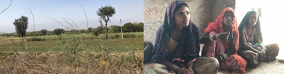 Women of rural Rajasthan beat the odds to emerge successful farmers and livestock rearers | Women of rural Rajasthan beat the odds to emerge successful farmers and livestock rearers