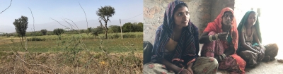 Women of rural Rajasthan beat the odds to emerge successful farmers and livestock rearers | Women of rural Rajasthan beat the odds to emerge successful farmers and livestock rearers Women of rural Rajasthan beat the odds to emerge successful farmers and livestock rearers | Women of rural Rajasthan beat the odds to emerge successful farmers and livestock rearers