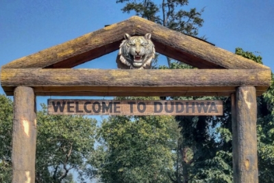 Dudhwa Reserve opens for tourists from today | Dudhwa Reserve opens for tourists from today
