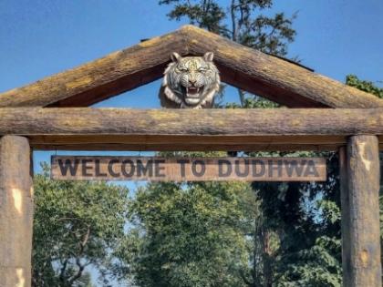 Panel probing Dudhwa tiger deaths submits report | Panel probing Dudhwa tiger deaths submits report