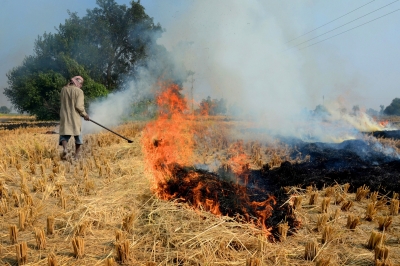 NHRC holds states responsible for continued stubble burning | NHRC holds states responsible for continued stubble burning