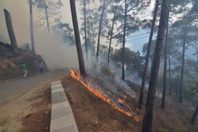 Braving forest fires of Himachal - the inspiring story of Raveena Chauhan | Braving forest fires of Himachal - the inspiring story of Raveena Chauhan