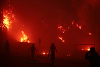 Forest fire destroys 46 homes in Chile, kills one person | Forest fire destroys 46 homes in Chile, kills one person