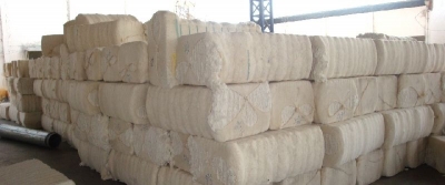 'Misleading': APEDA rejects allegations on organic cotton certification | 'Misleading': APEDA rejects allegations on organic cotton certification 'Misleading': APEDA rejects allegations on organic cotton certification | 'Misleading': APEDA rejects allegations on organic cotton certification