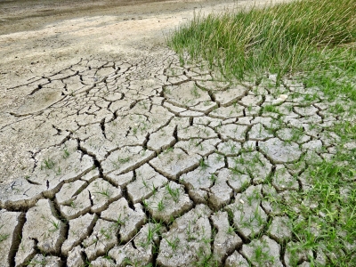 Droughts are threatening global wetlands: Study | Droughts are threatening global wetlands: Study