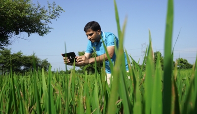 With Microsoft Cloud, CropData helping Indian farmers earn better | With Microsoft Cloud, CropData helping Indian farmers earn better