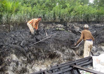 Bangladesh to ban single-use plastic items in Sundarbans | Bangladesh to ban single-use plastic items in Sundarbans