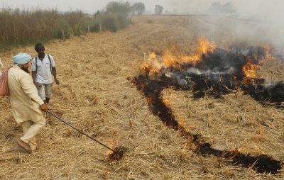 Punjab, Haryana farmers sensitised on stubble management | Punjab, Haryana farmers sensitised on stubble management