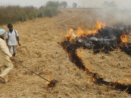 Punjab needs policy to reuse stubble: Rajya Sabha MP Vikram Sahney | Punjab needs policy to reuse stubble: Rajya Sabha MP Vikram Sahney