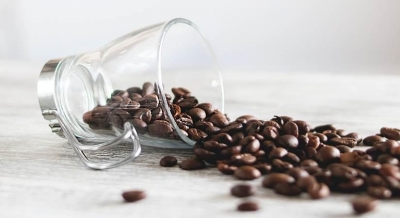 Tanzania to distribute 3 mn coffee seedlings to boost production | Tanzania to distribute 3 mn coffee seedlings to boost production