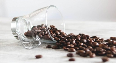 Tanzania to distribute 3 mn coffee seedlings to boost production | Tanzania to distribute 3 mn coffee seedlings to boost production Tanzania to distribute 3 mn coffee seedlings to boost production | Tanzania to distribute 3 mn coffee seedlings to boost production