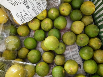 Guard your lemons, thieves steal 60kg in UP's Shahjahanpur | Guard your lemons, thieves steal 60kg in UP's Shahjahanpur