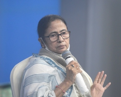 Mamata suggests pillow, blanket industry using Kans grass | Mamata suggests pillow, blanket industry using Kans grass